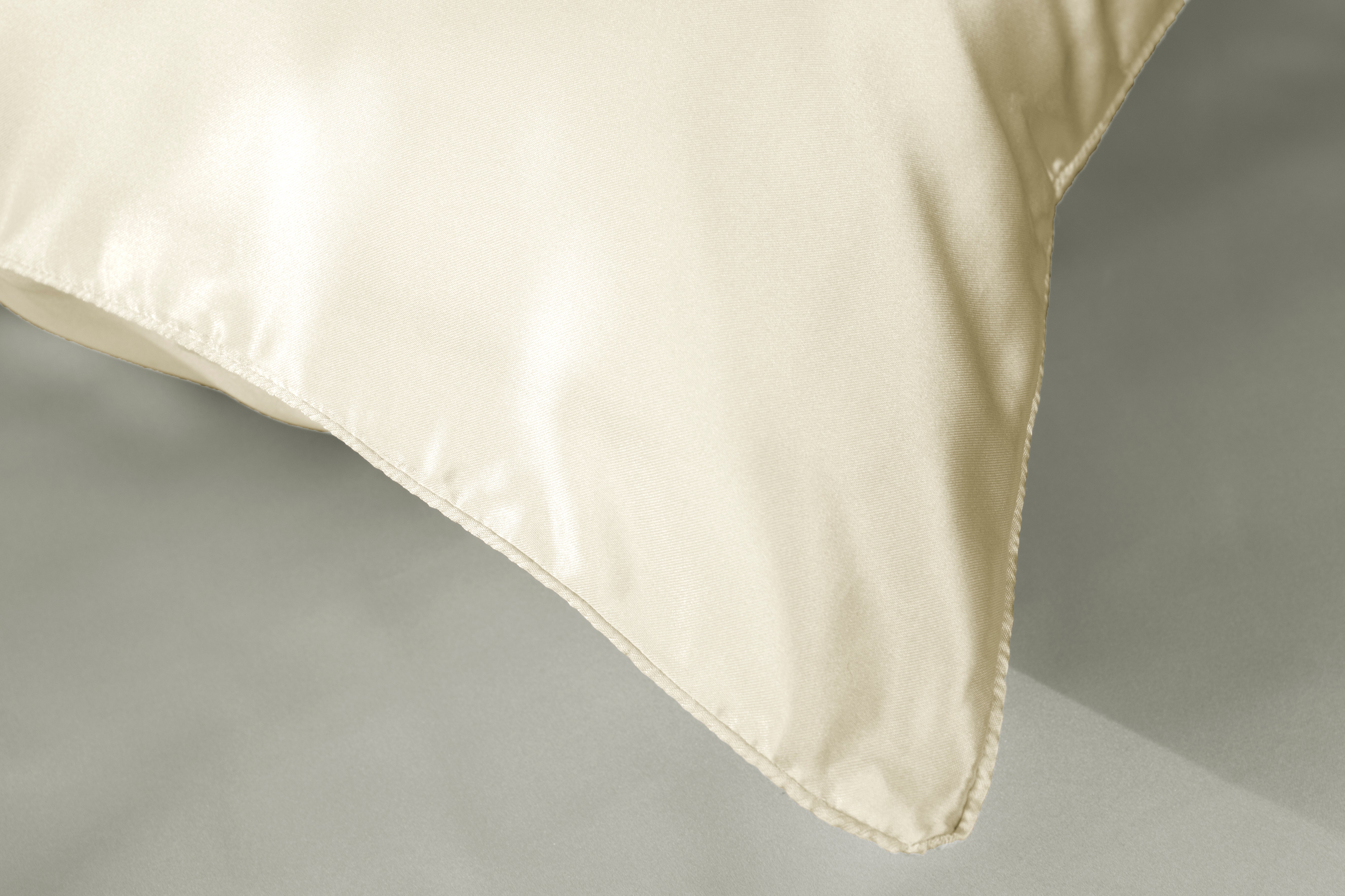 Ivory Dreams SILK PILLOWCASE - 51X76CM 5
