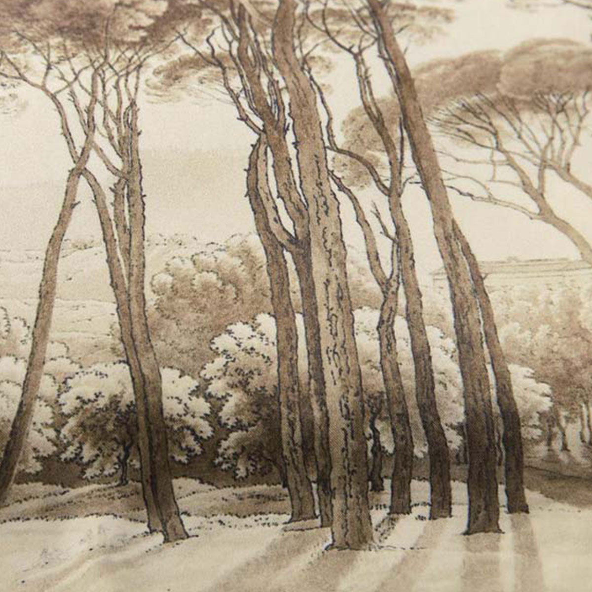 Bedding House Odetta Natural Oblong Filled Cushion 30cm x 50cm 3