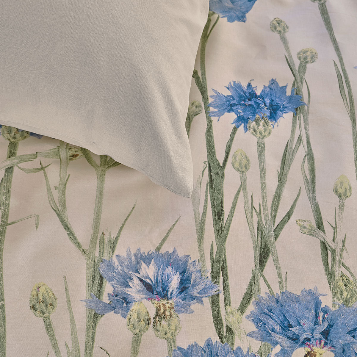 Bedding House Cornflower Sand 100% Cotton Percale Quilt Cover Set King 4