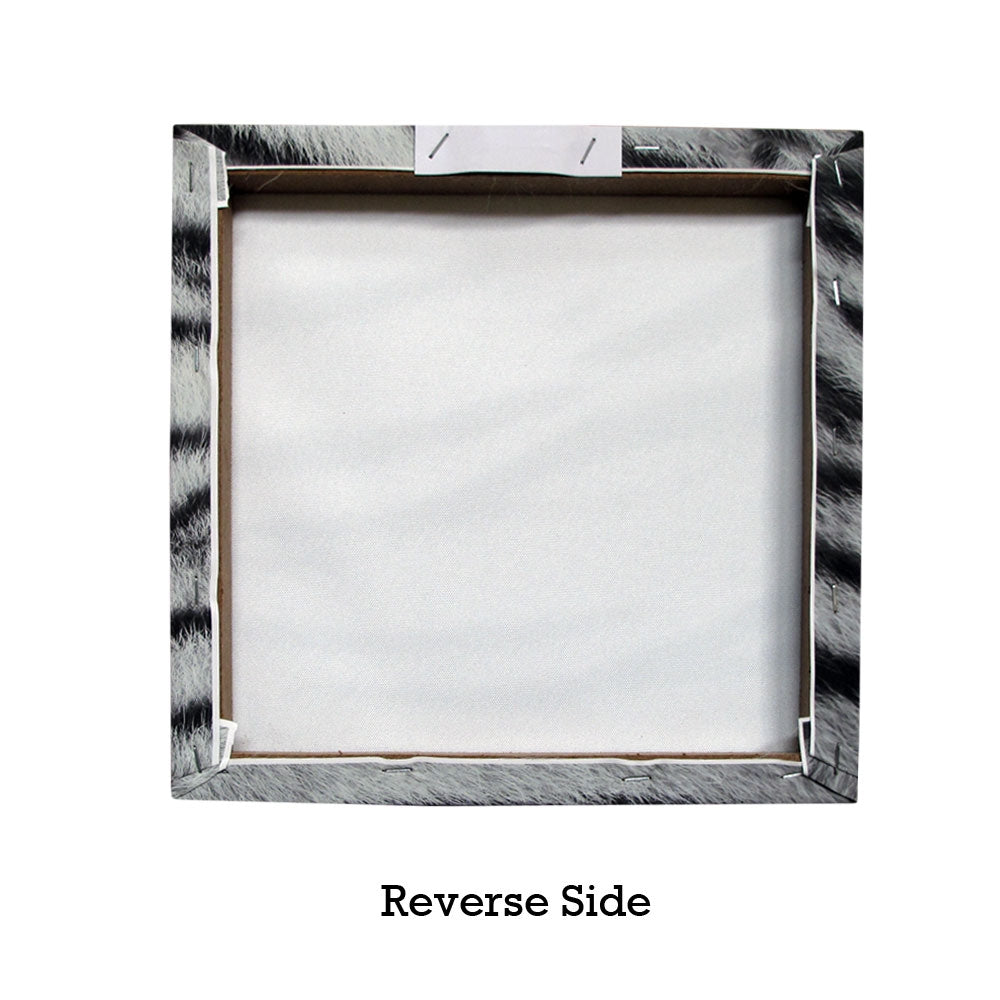 Just Home Set of 3 Printed Blue Eyes Stripes Tiger Wall Canvas 4