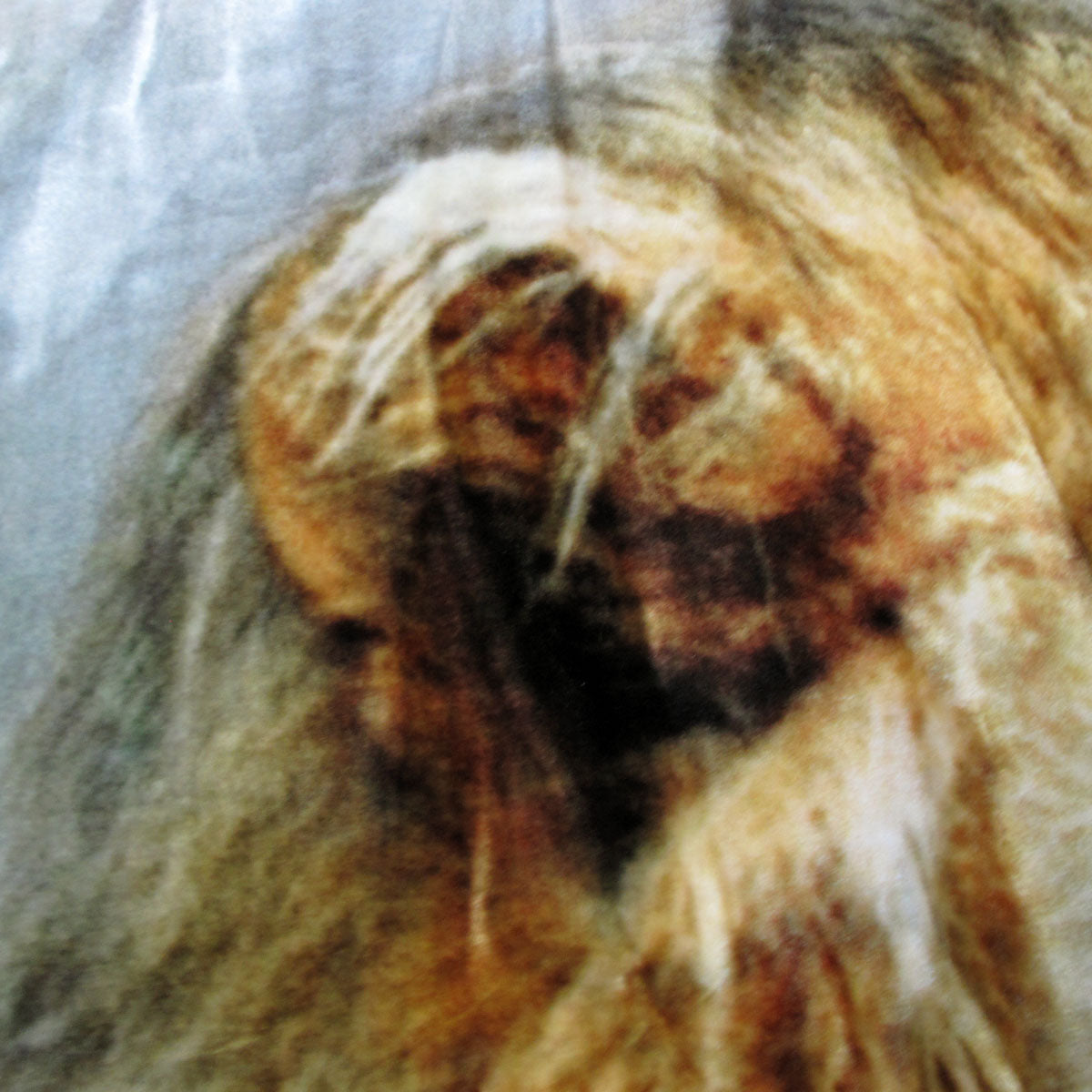 800GSM Luxury Reversible Animal Pattern Mink Blanket Queen 200 x 240 cm Lion Tiger Brown 3