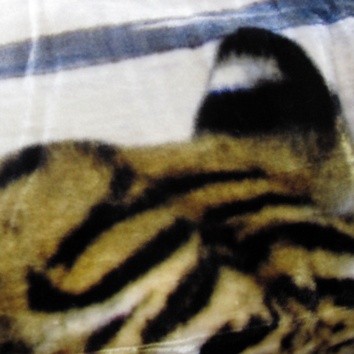 800GSM Luxury Reversible Animal Pattern Mink Blanket Queen 200 x 240 cm Three Tigers Blue 4