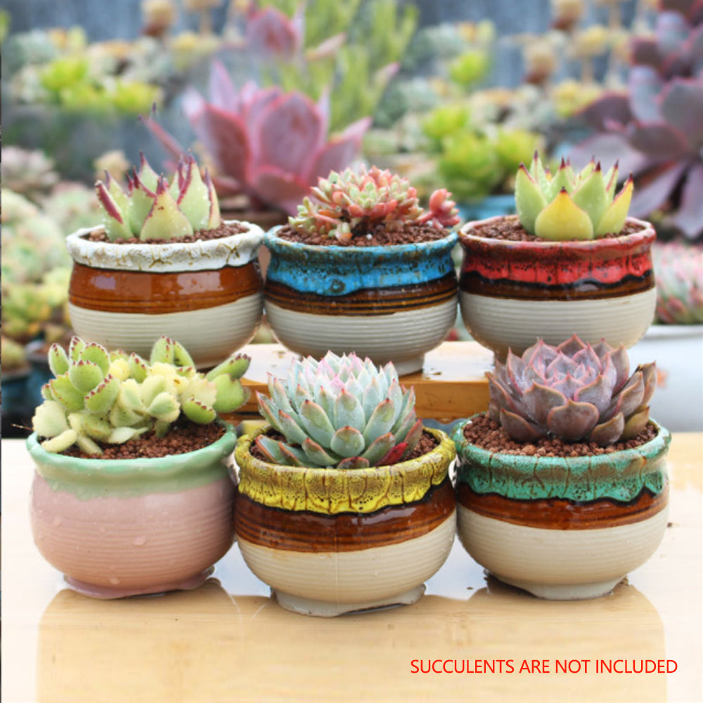 4/5/6 Pots Set Ceramic Clay Pottery Pots Succulent Flower Planter Draining Hole(Style 05# 6 Pots Set) 3