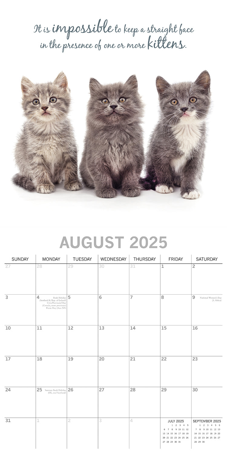 Cute Kittens - 2025 Square Wall Calendar Pets Animals 16 Months Premium Planner 3