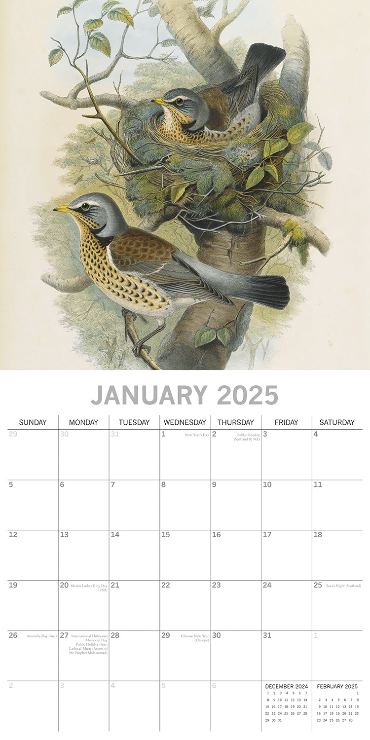 Garden Birds - 2025 Square Wall Calendar Pets Animals 16 Months Premium Planner 3