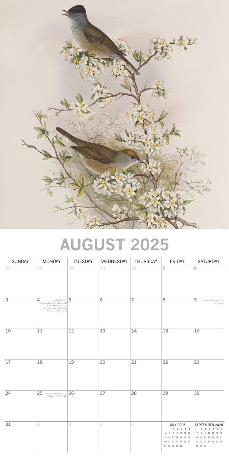 Garden Birds - 2025 Square Wall Calendar Pets Animals 16 Months Premium Planner 4