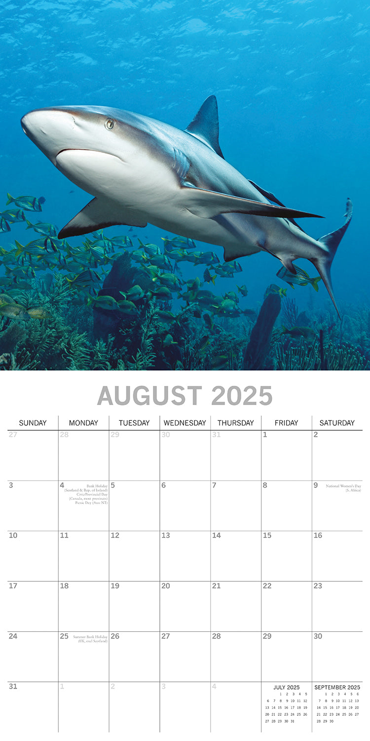 Sharks - 2025 Square Wall Calendar Pets Animals 16 Months Premium Planner Gift 4
