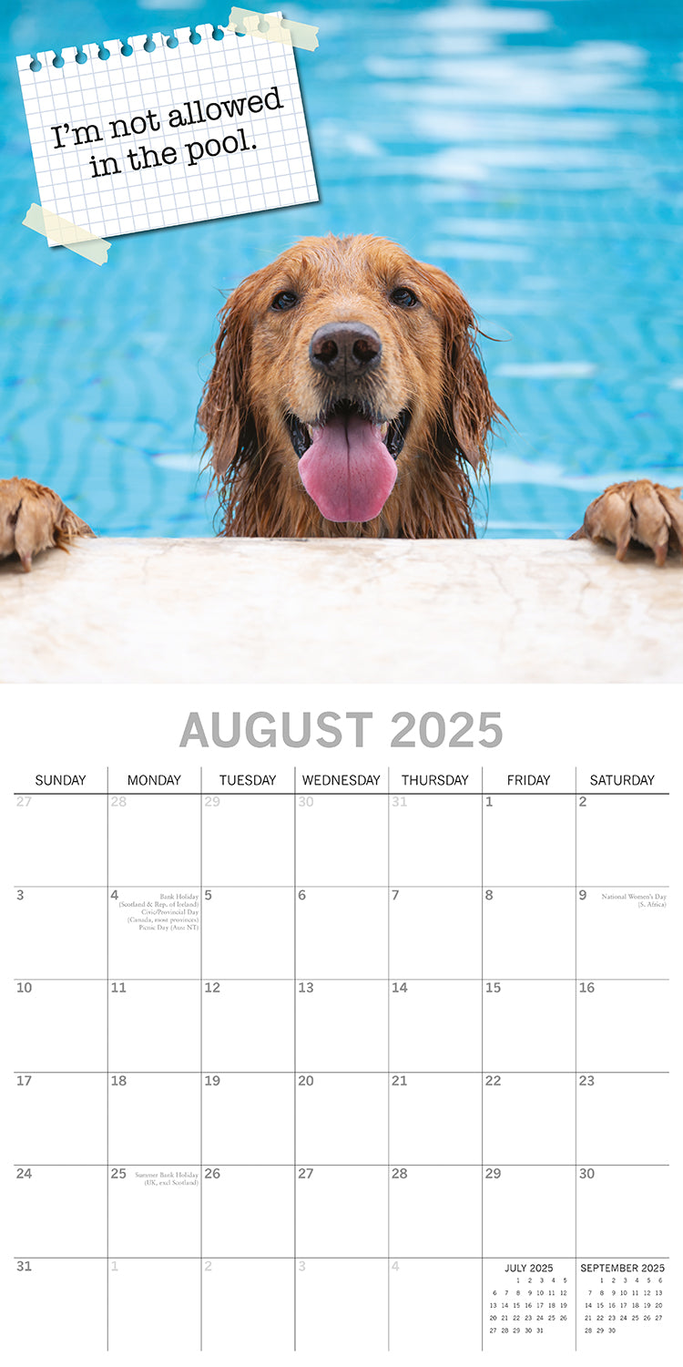 Dog Shaming 2025 Square Wall Calendar Pets Animals 16-Month Premium Planner Gift 3