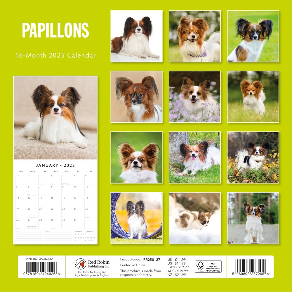 Papillions - 2025 Square Wall Calendar Animals 16 Months Premium Planner Gift 3