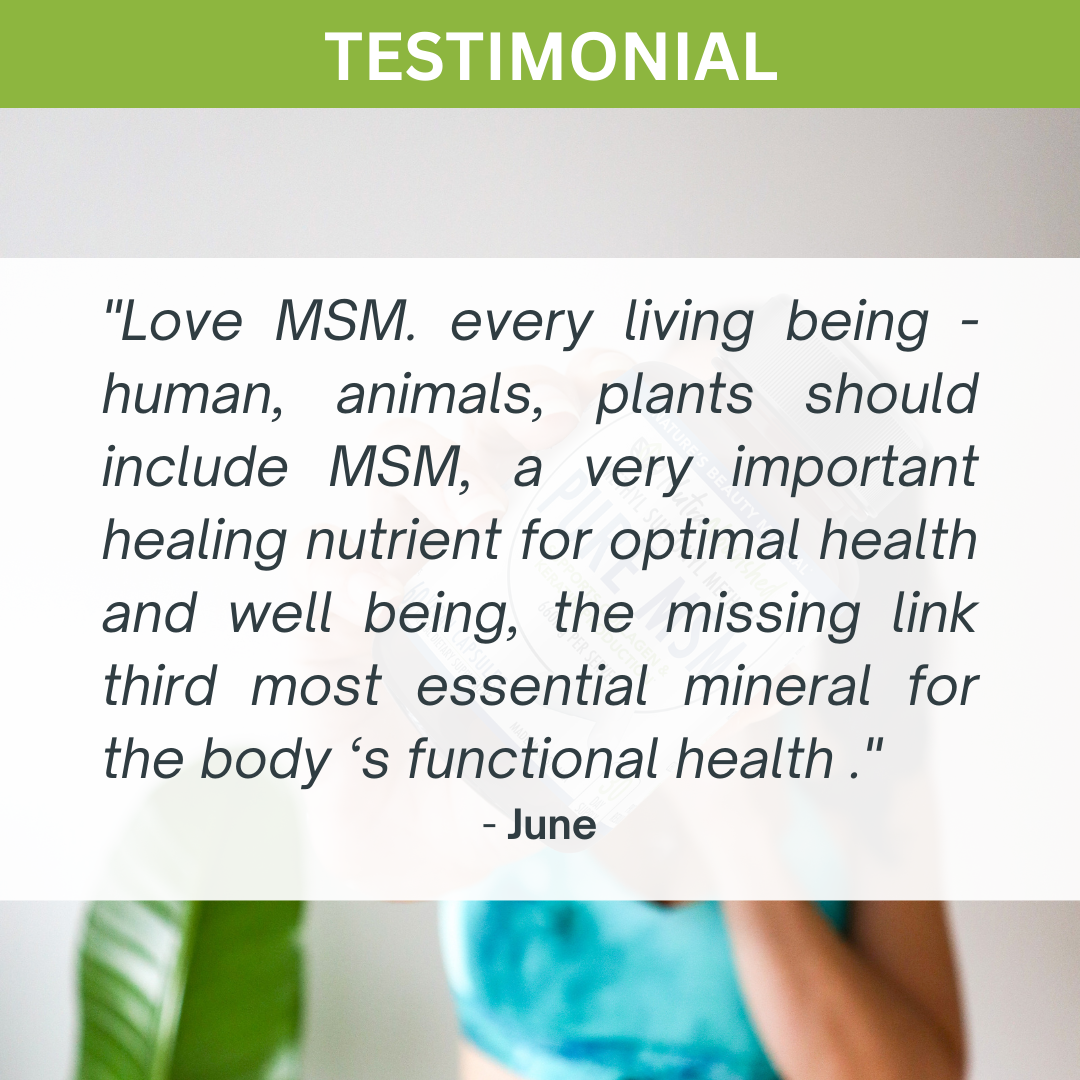 Pure MSM Capsules - Methyl Sulfonyl Methane - (660mg), 60 Vegan Capsules/1 Month 3