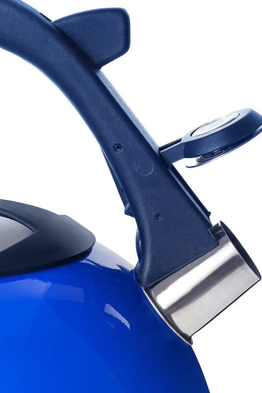 2.6L Stainless Steel Whistling Kettle blue 3