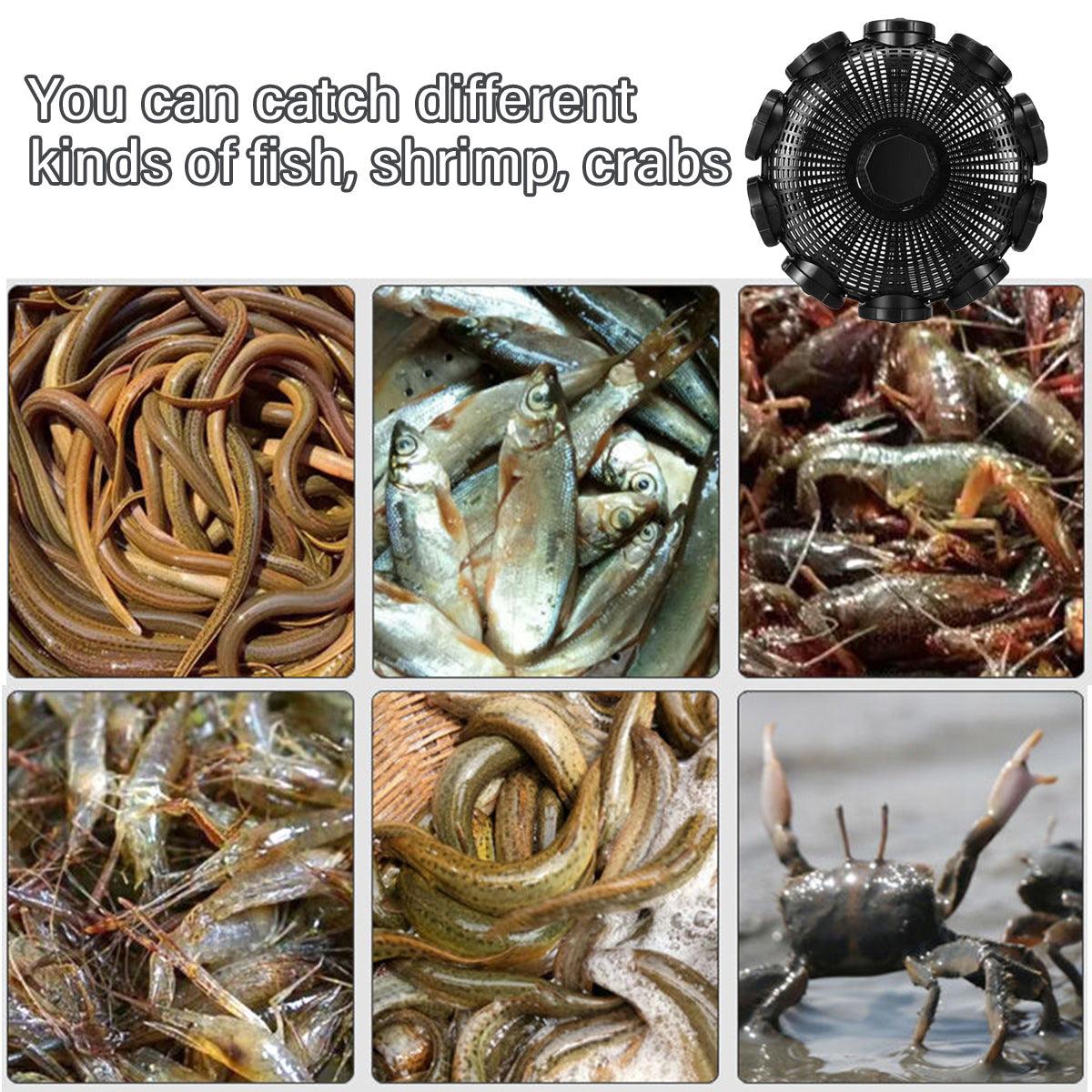 10Hole Eel Fishing Trap Cage Loach Fish Shrimp Net Folding Portable Catch Basket 4