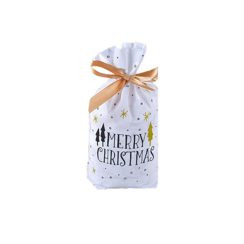 10pcs Christmas Candy Bags Gift Treat Drawstring Pouches Biscuit Cookie Packaging - 10Pcs Bag-Bike Bear 9