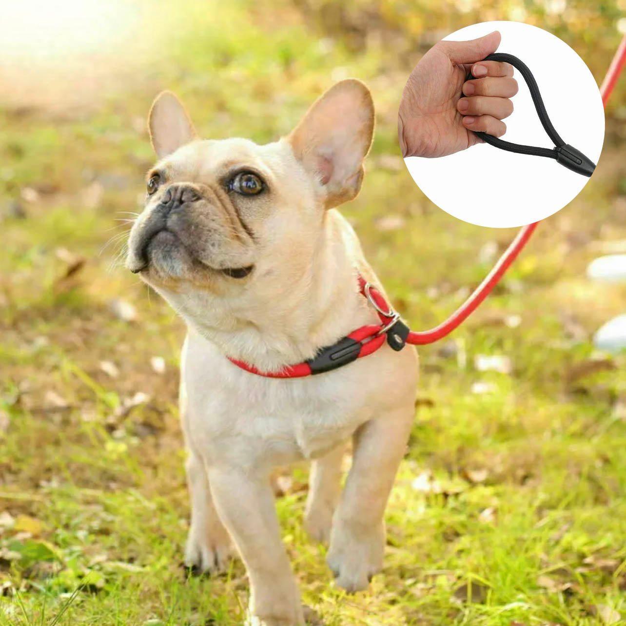 Dog Training Correction Leash Lead Cesar Puppy Pets Millan Slip Nylon Rope 10*140mm - Black 3