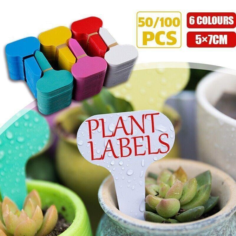 T Plant Labels 50-100Pcs 6 Colours Garden Stakes Markers Tags Nursery Seedling - Pink