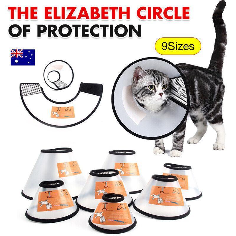 Pet Cat Dog Protective Cone Collar Elizabethan E Collar Wound Healing Recovery - 3 3
