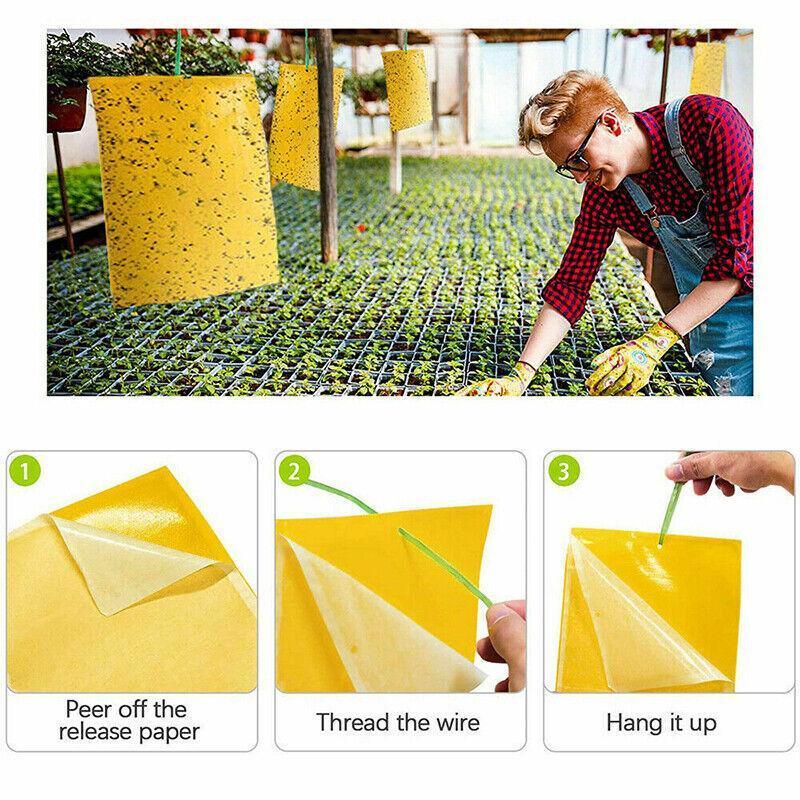 10PCS Yellow Sticky Paper Insect Trap Catcher Killer Fly Aphids Wasp - 25x20cm 3