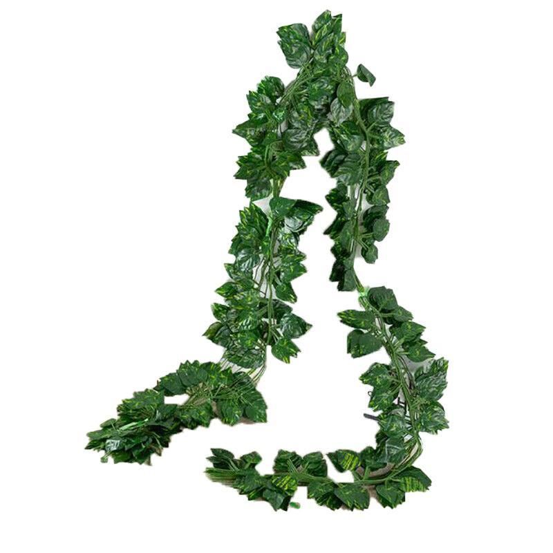 12 X 2M Artificial Ivy Vine Fake Foliage Flower Hanging Leaf Garland Plant Party - Scindapsus Leaves 10