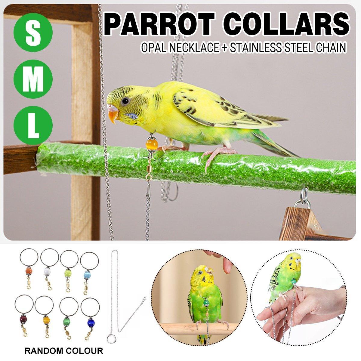 Parrot Neck Collar Stainless Steel Bird Chain Training Adjustable Bird Leash - M-Diameter 1.9cm