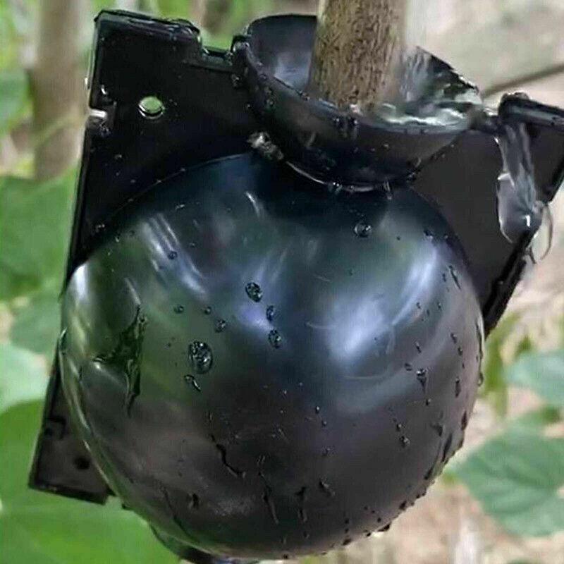 10Pcs Plant Rooting Ball High Pressure Propagation Box Grafting Breeding Device - L-12CM-10PCS 3