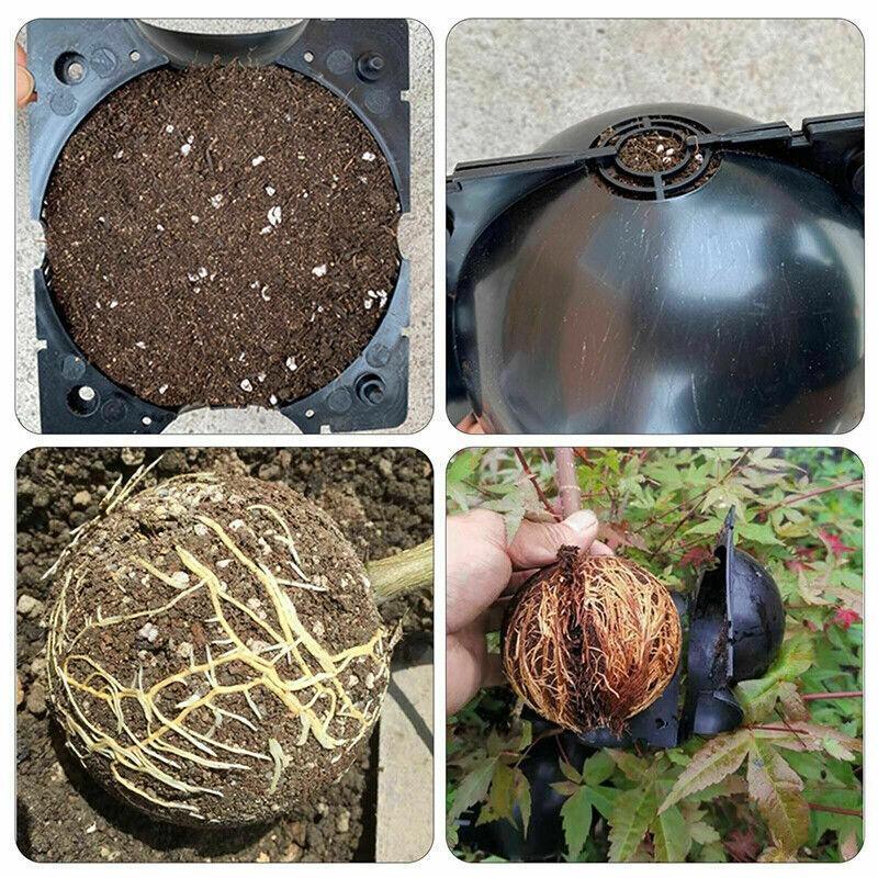 10Pcs Plant Rooting Ball High Pressure Propagation Box Grafting Breeding Device - S-5CM-10PCS 4