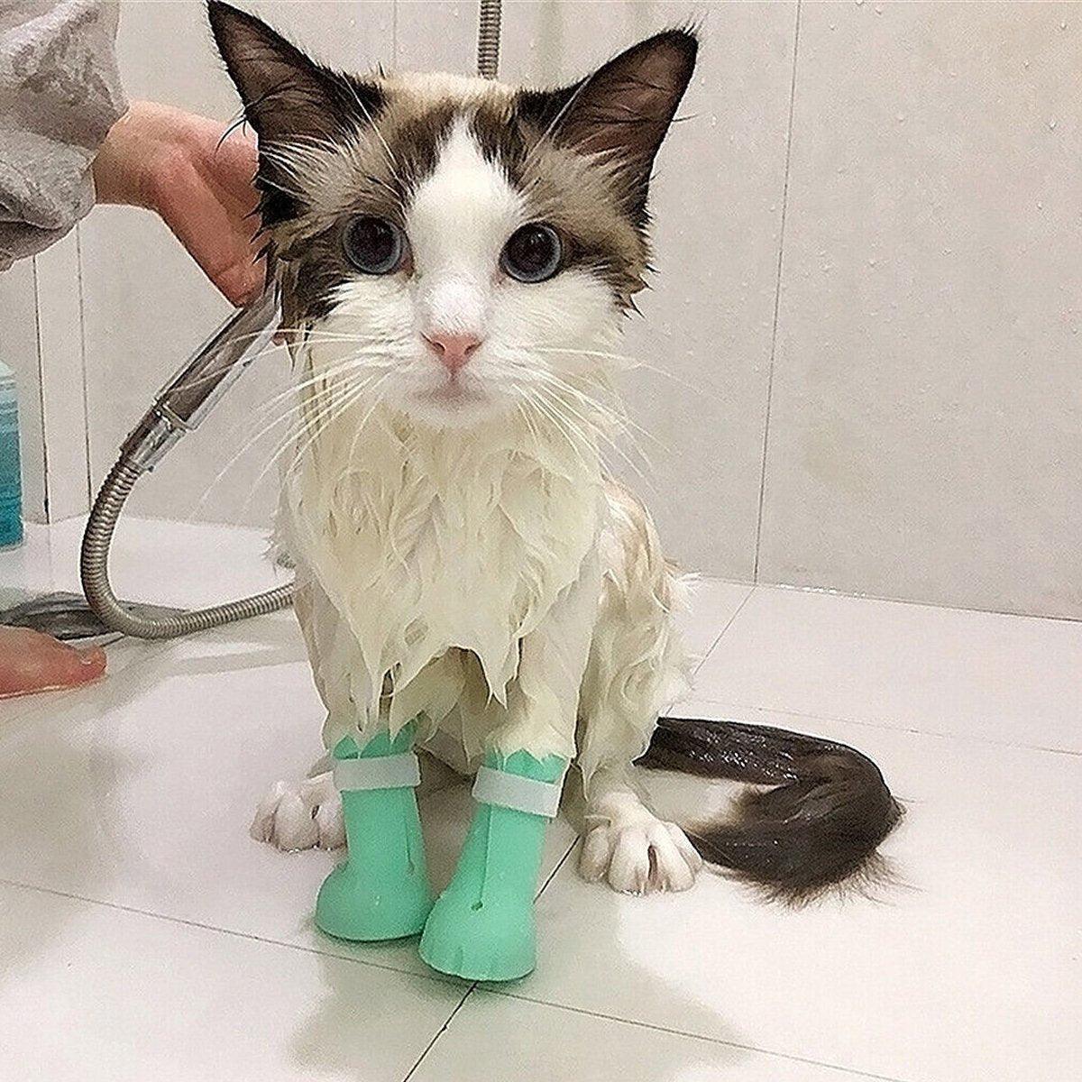 4pcs Cat Bathing Grooming Anti-Scratch Silicone Pet Socks for Bathing Feeding - Green 5