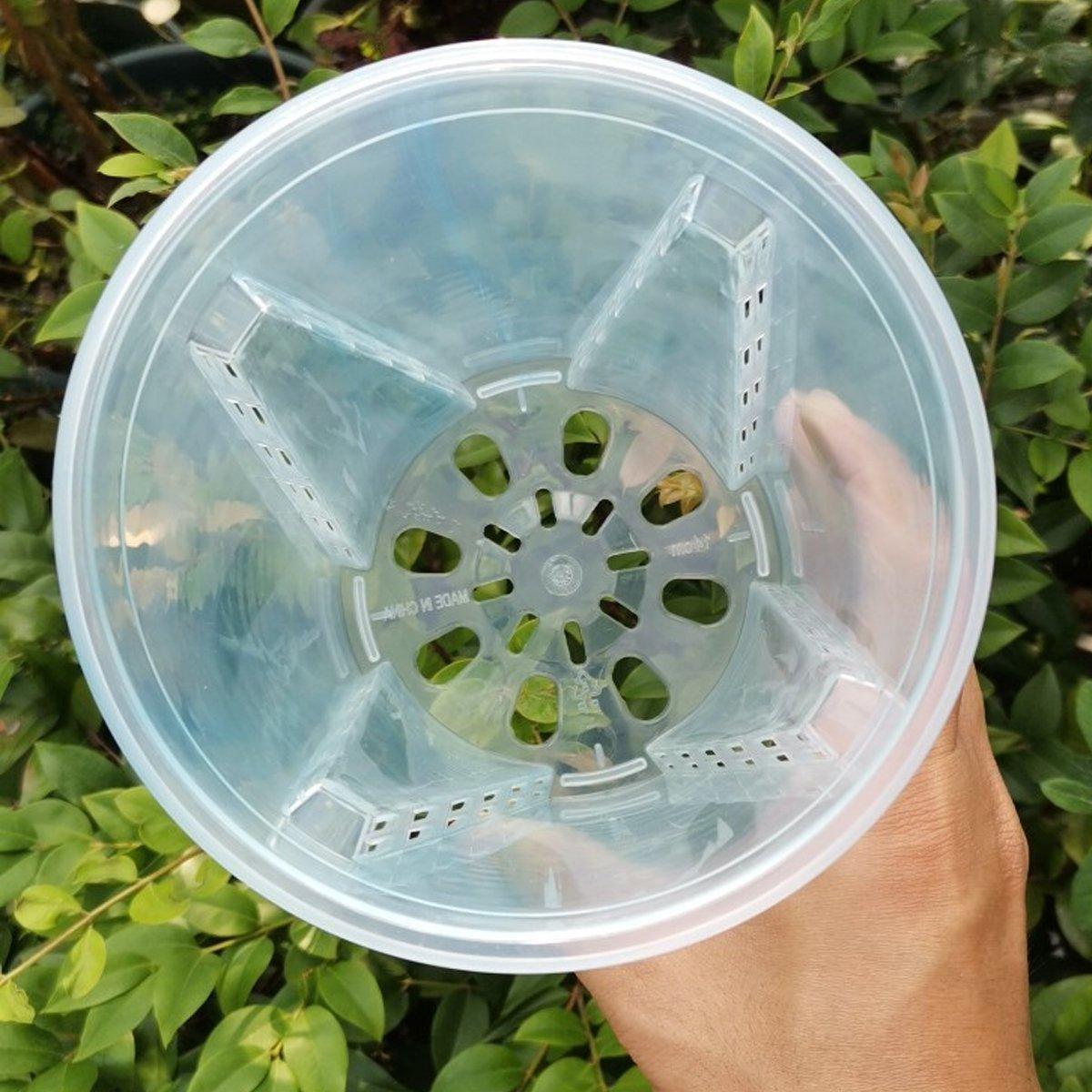 10xClear Plastic Orchid Pots with Holes for Phalaenopsis Root Aeration 5