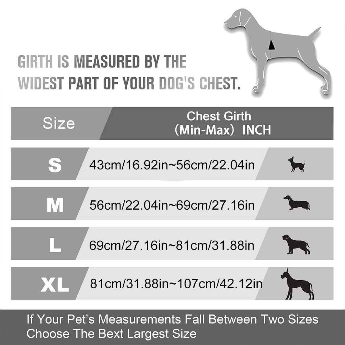 Adjustable No-Pull Dog Harness Vest S-XL Reflective Pet Training Outdoor Handle - Blue-XL 3