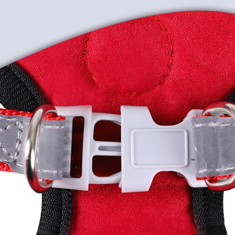 Dog Harness Cat Lead Puppy Leash Vest Mesh Breathe Adjustable Braces Small Pet Red - L 5