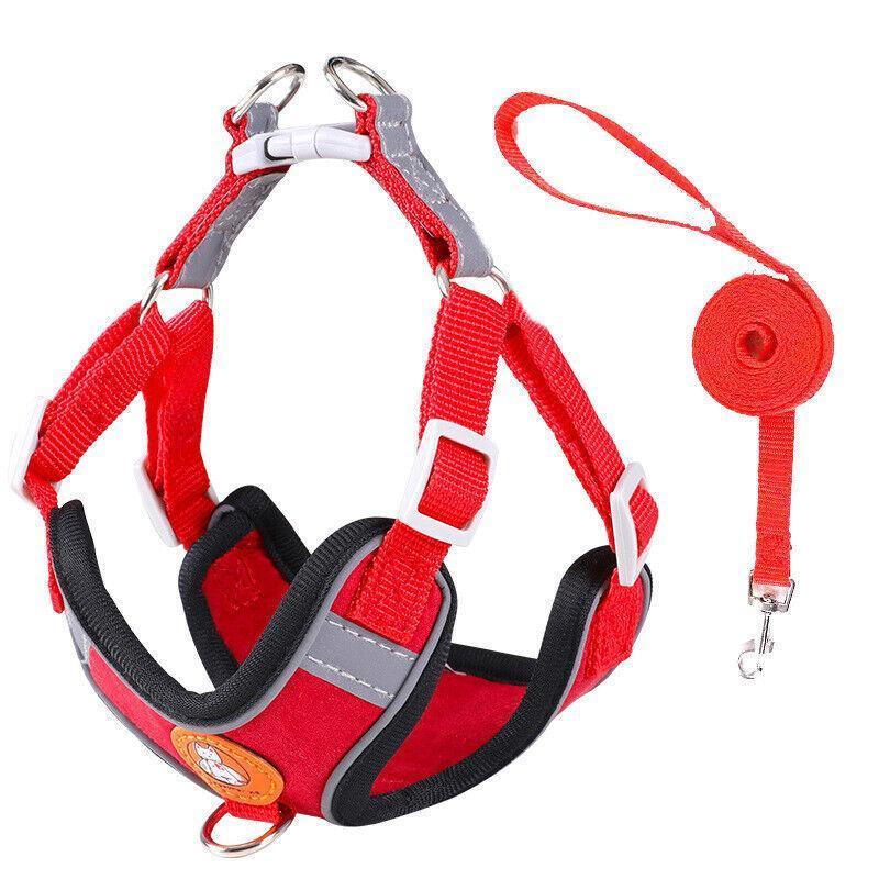 Dog Harness Cat Lead Puppy Leash Vest Mesh Breathe Adjustable Braces Small Pet Red - XXS 8