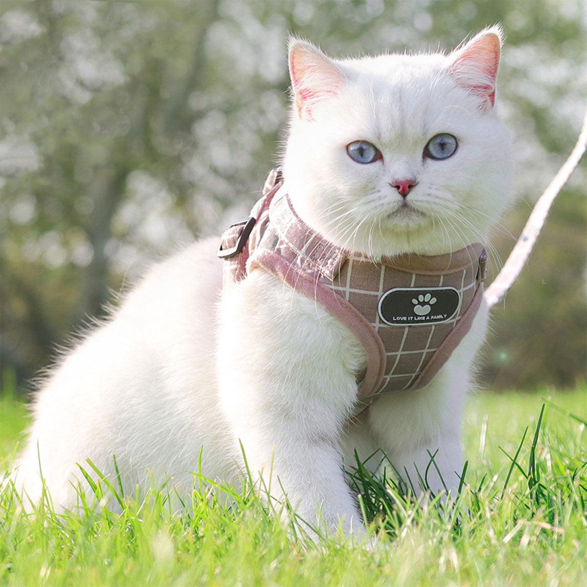 Pink Kitten Dog Cat Walking Harness Lead Leash Collar Pet Vest Mesh Adjustable - M 4