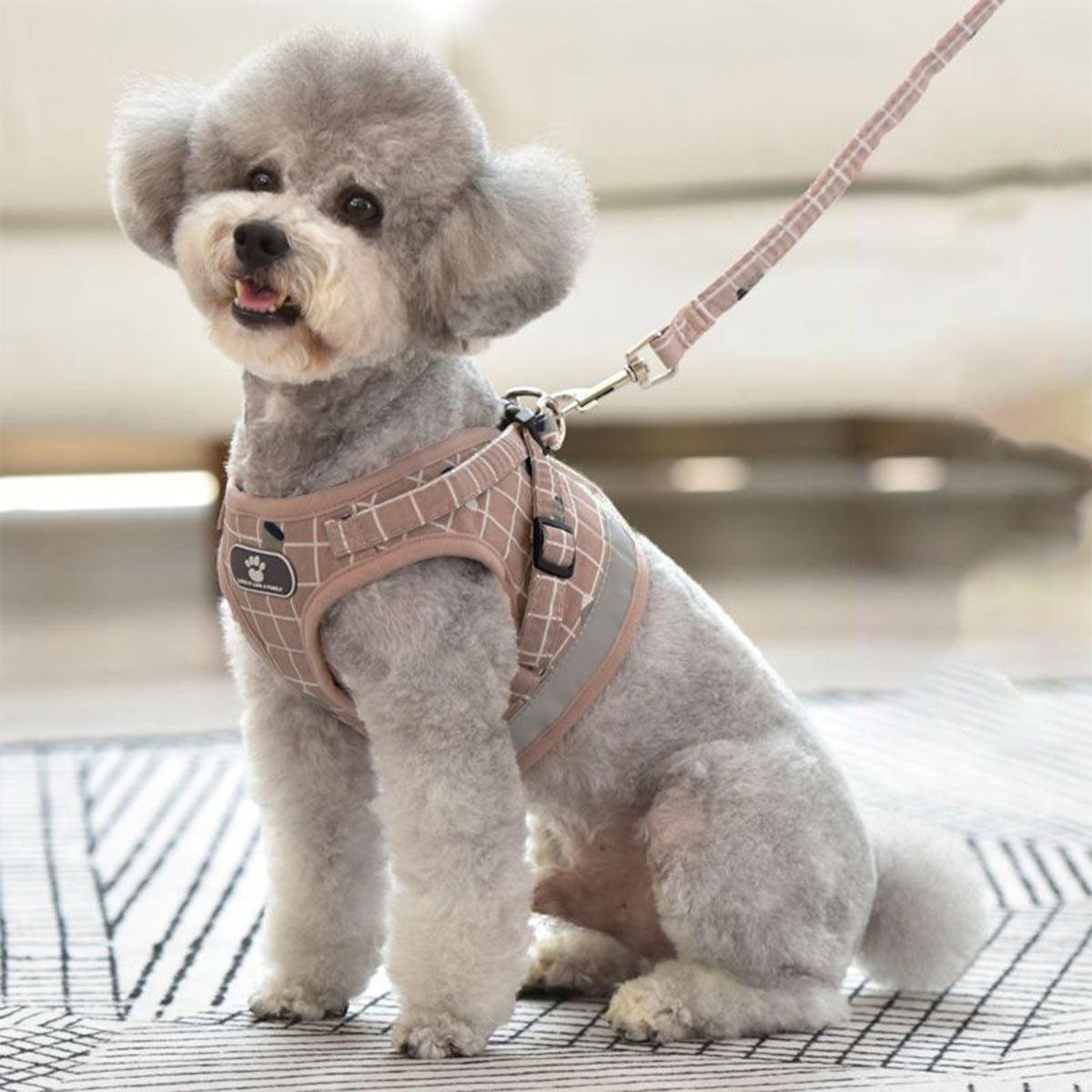 Pink Kitten Dog Cat Walking Harness Lead Leash Collar Pet Vest Mesh Adjustable - M 5