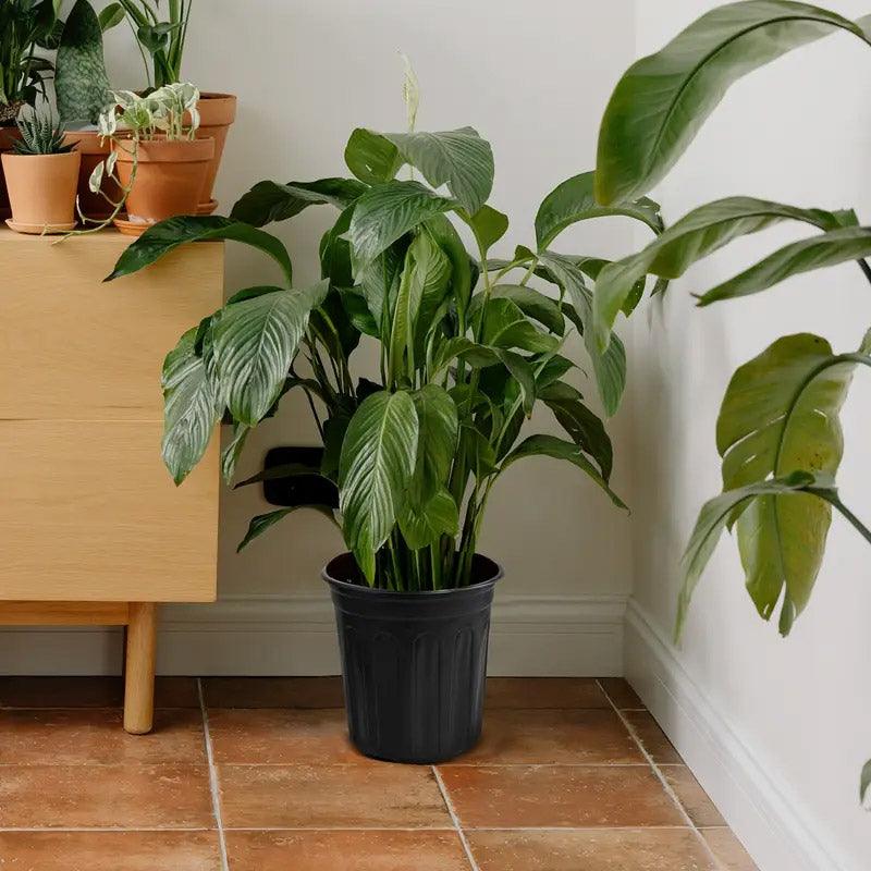 100PCS Black Gallon Soft Plastic Planter Bag Garden Nursery Pot Balcony Grow Bag 4