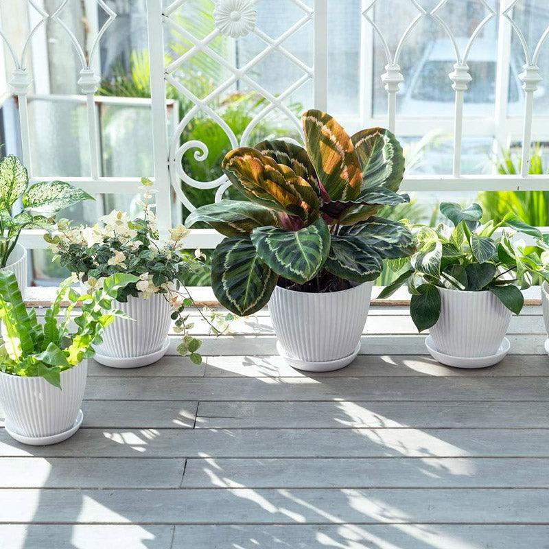 6PCS Simple Plastic Round Plant Pots Vertical Stripes Flower Pot Green Gardening - White 4