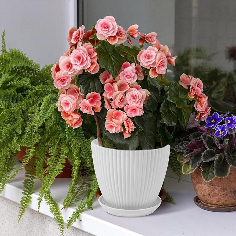 6PCS Simple Plastic Round Plant Pots Vertical Stripes Flower Pot Green Gardening - White 5