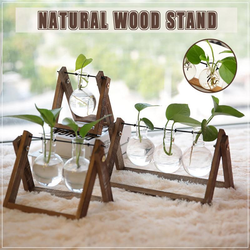 Wood Stand Glass Vase Terrarium Hydroponic Hanging Planter Home Decor - M With 2 Bottles