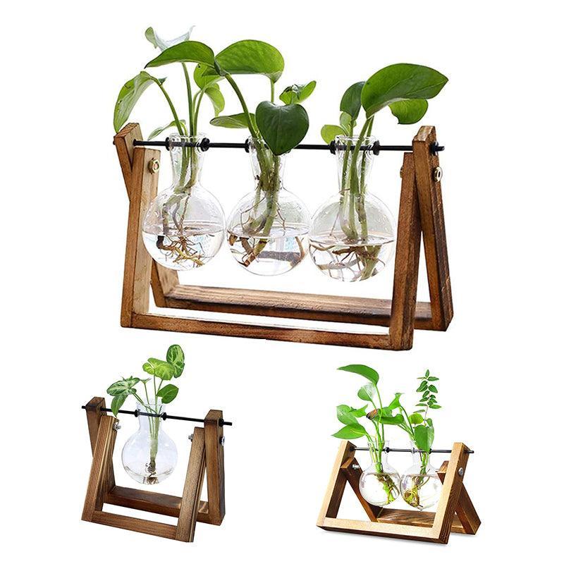 Wood Stand Glass Vase Terrarium Hydroponic Hanging Planter Home Decor - M With 2 Bottles