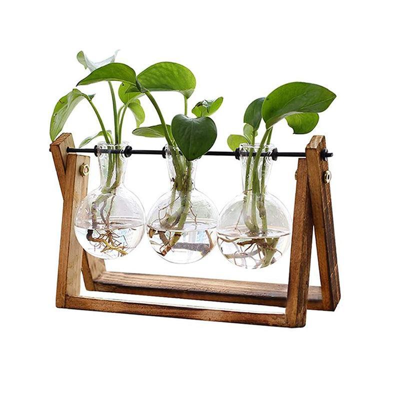 Wood Stand Glass Vase Terrarium Hydroponic Hanging Planter Home Decor - M With 2 Bottles 8