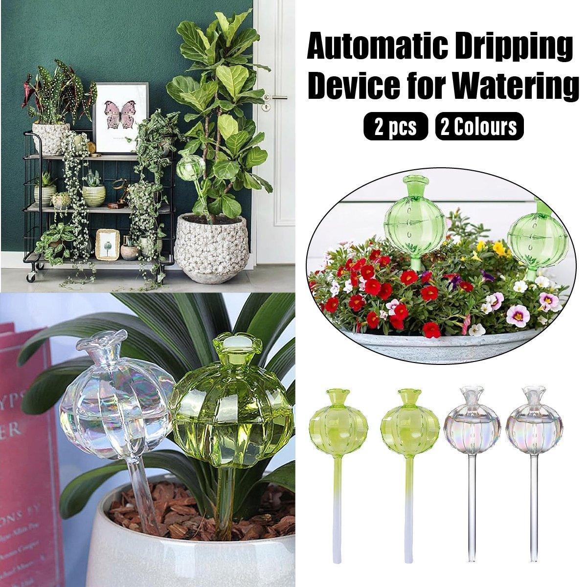 2PCS Automatic Glass Watering Cactus Plant Flower Self Drip Irrigation Tool - Transparent