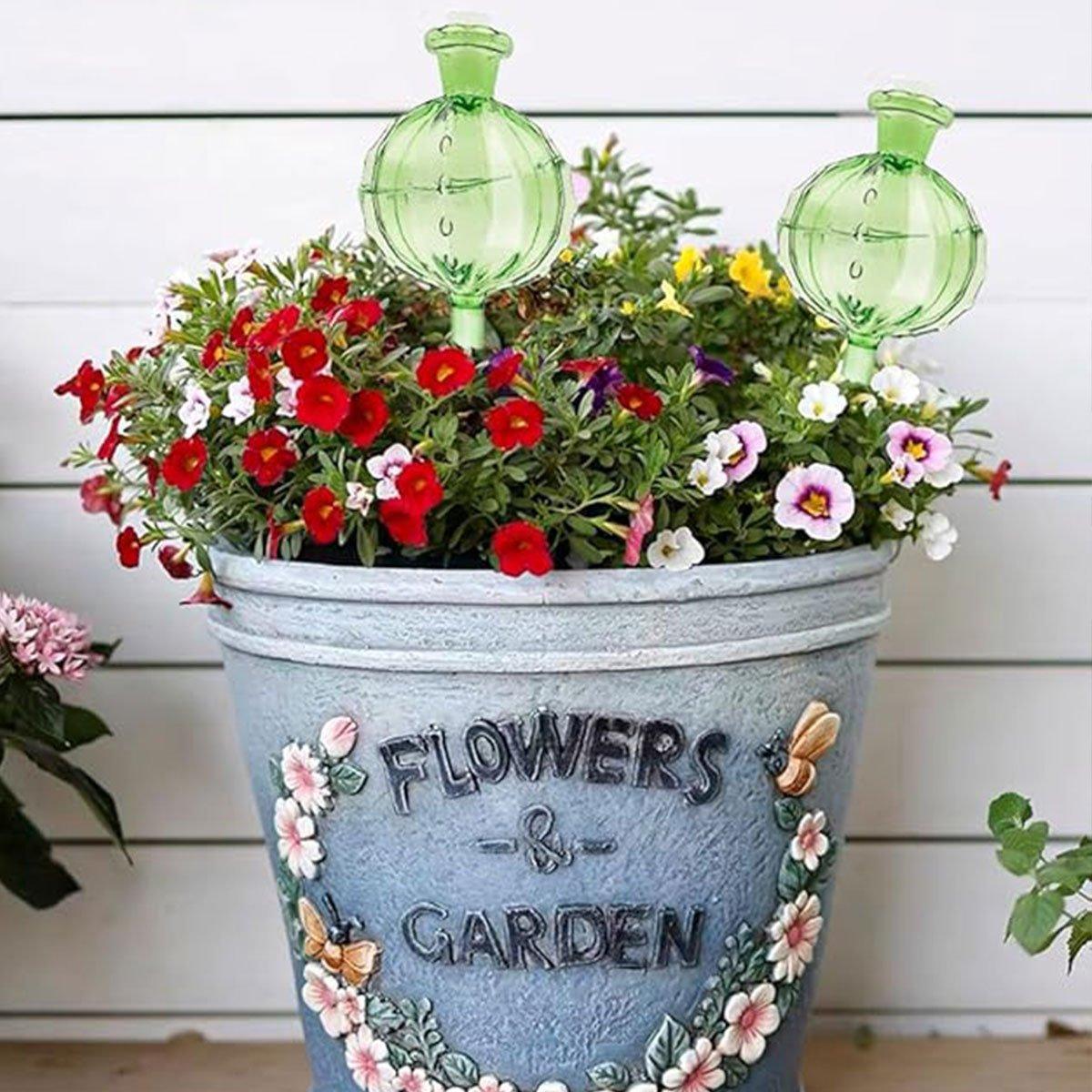 2PCS Automatic Glass Watering Cactus Plant Flower Self Drip Irrigation Tool - Transparent 4