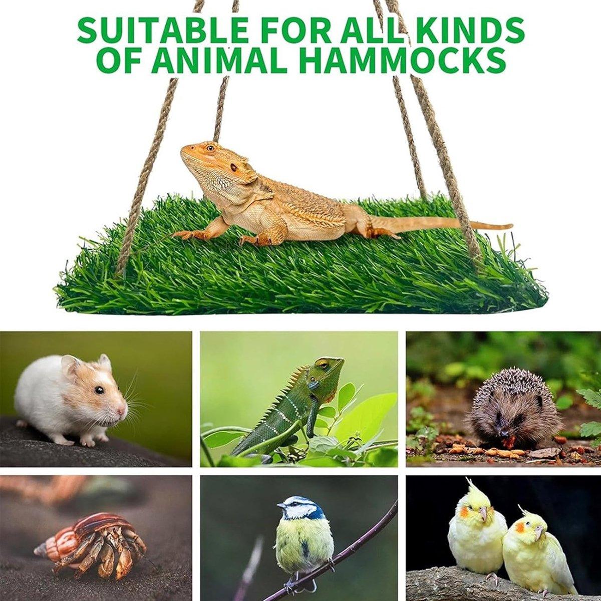 Parrot Turf Hammock Climbing Toy for Hamster Pet Bed Hanging Swing for Small Pet - Quadrate 4