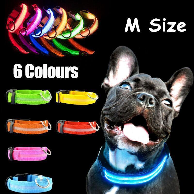 M Size USB Rechargeable LED Dog Collar Nylon Glow Flashing Light Up Pet Collar - Red