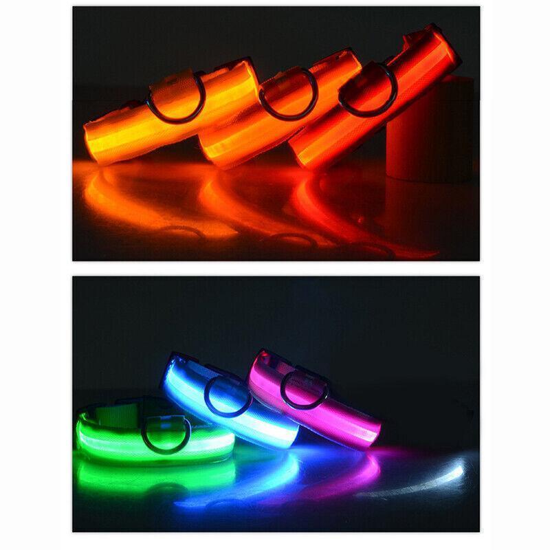 M Size USB Rechargeable LED Dog Collar Nylon Glow Flashing Light Up Pet Collar - Red 3
