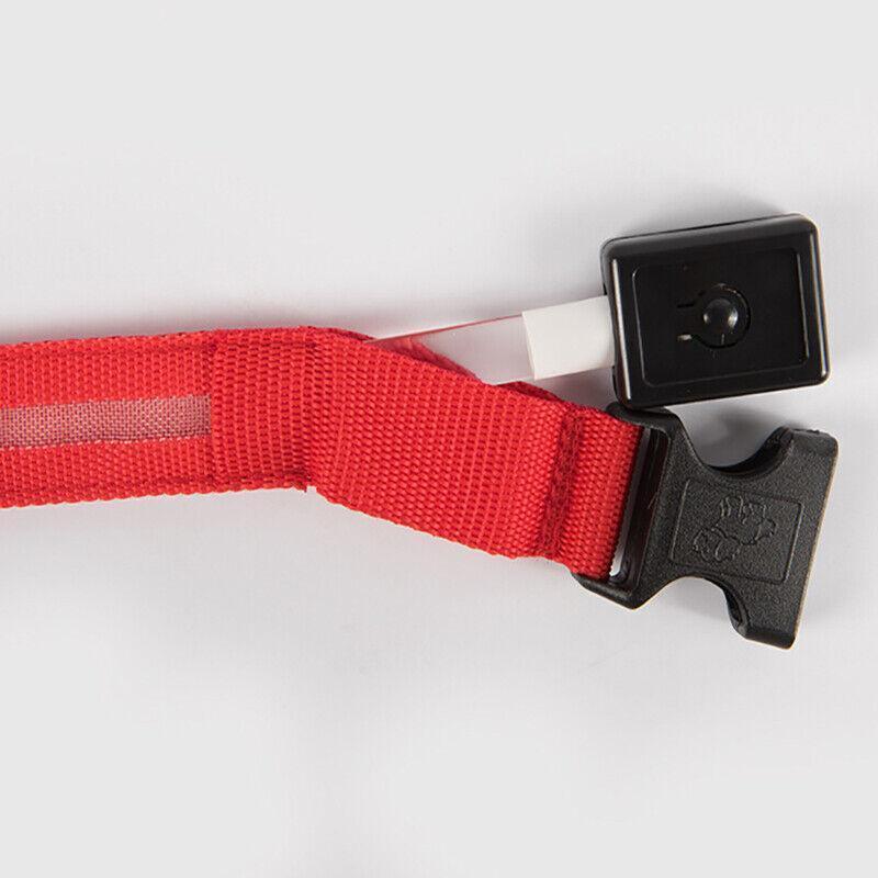 M Size USB Rechargeable LED Dog Collar Nylon Glow Flashing Light Up Pet Collar - Red 5