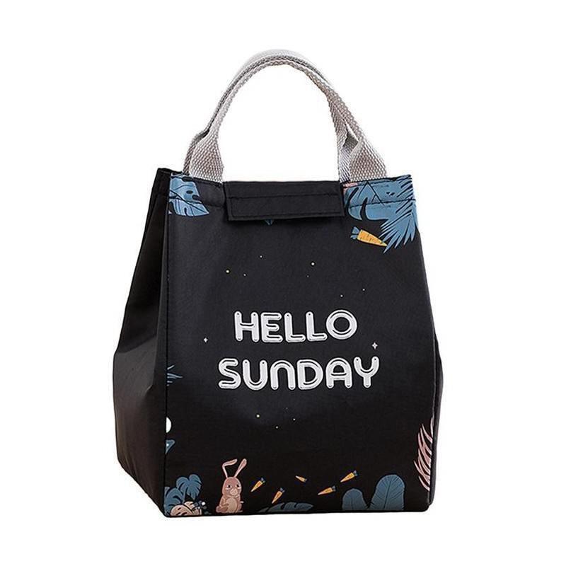 Portable Insulated Thermal Lunch Box Carry Tote Picnic Case Storage Bag 18x24x15cm - E06 (18x24x15cm) 12