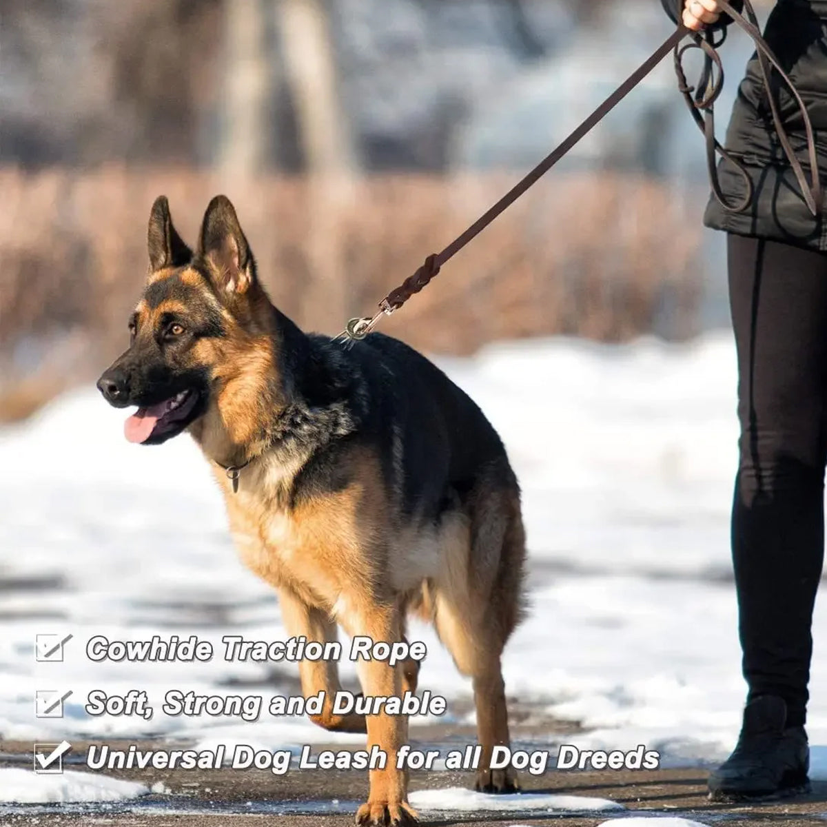 Dog Leash Cowhide Lead Heavy Duty Leather M Size Brown For Walking Training - Black 4