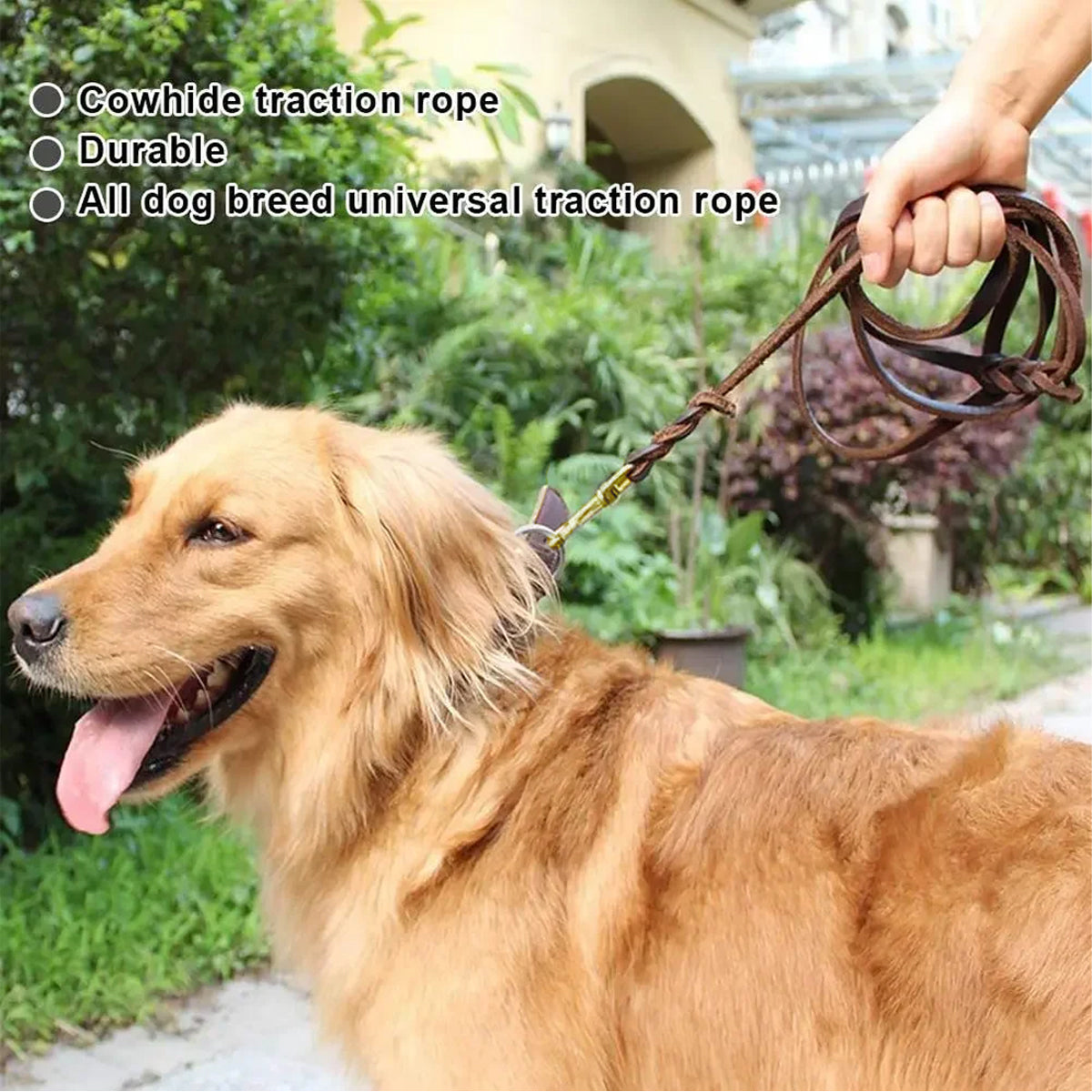 Dog Leash Cowhide Lead Heavy Duty Leather M Size Brown For Walking Training - Black 5