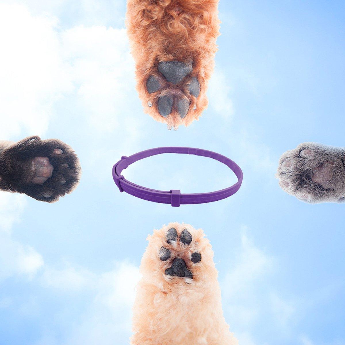 3/4pcs Calming Collar for Cats and Dogs Soothing Pet Relief Collar Long Lasting - 70cm-3PCS 4