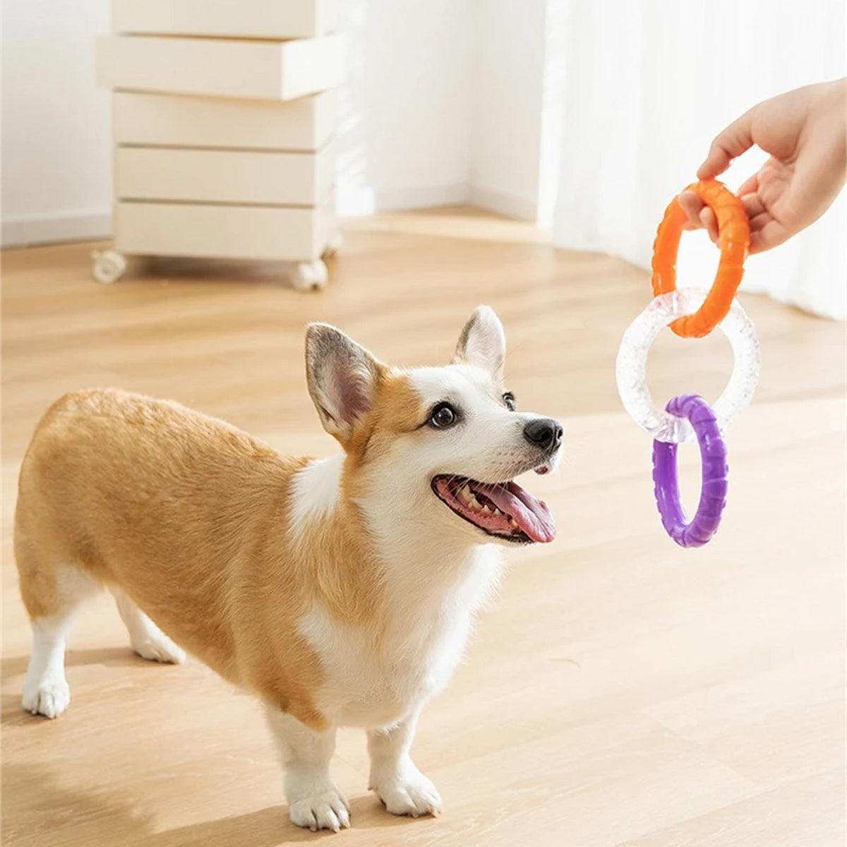 Interactive Dog Toys TRP Rubber Ring Teething Pet Rally Ring Chew Play Fetch - Orange-Purple 4