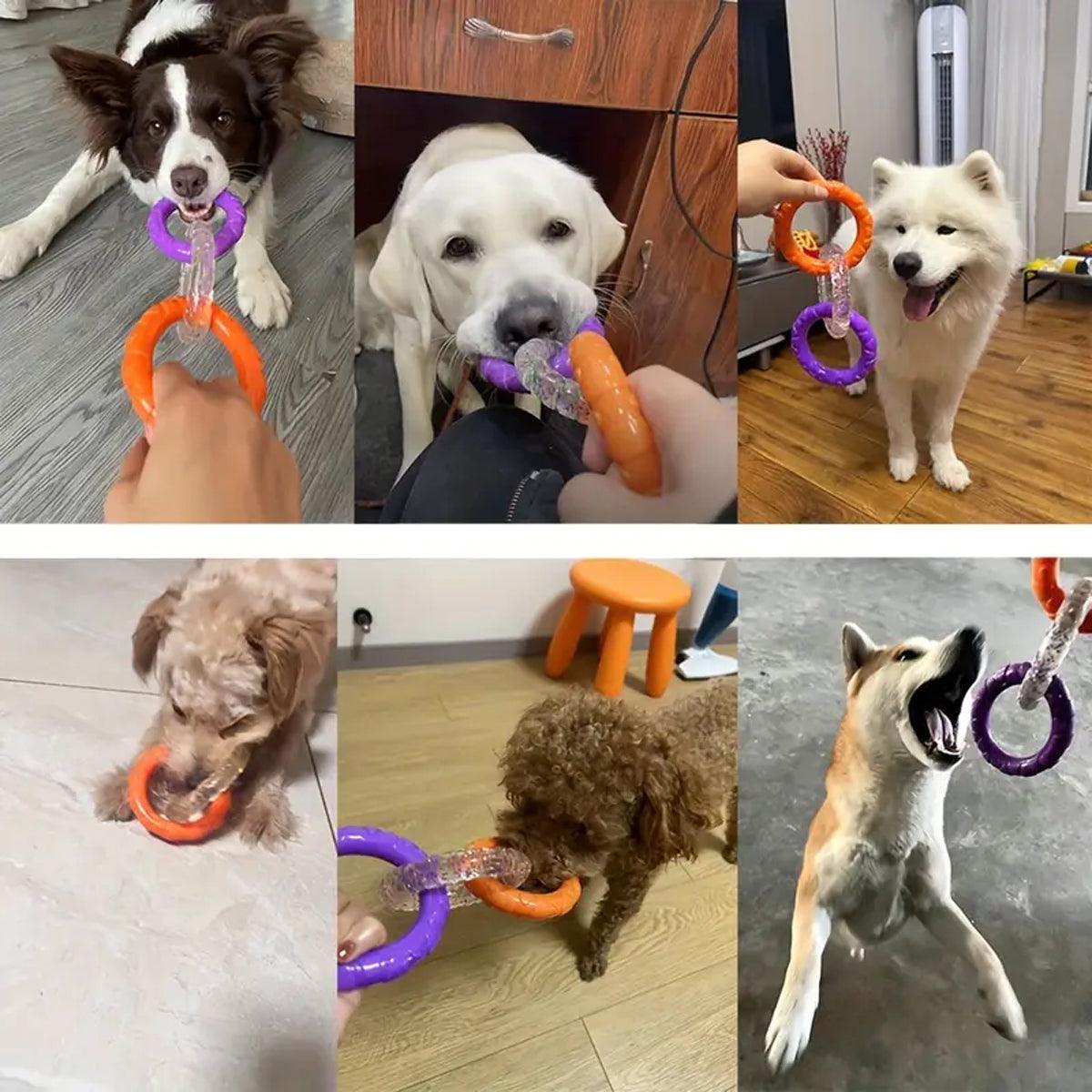 Interactive Dog Toys TRP Rubber Ring Teething Pet Rally Ring Chew Play Fetch - Orange-Purple 5